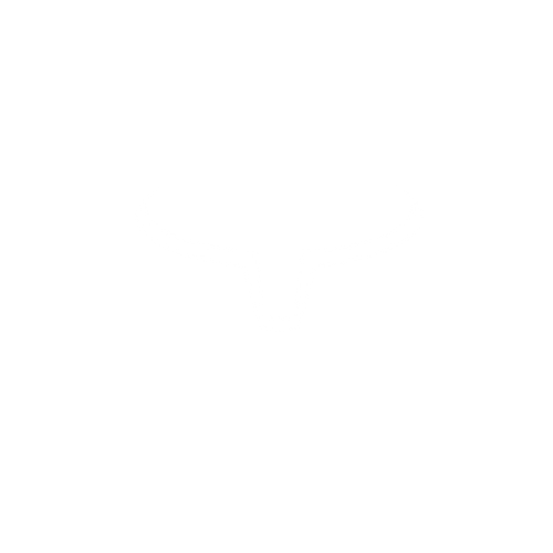 HDM